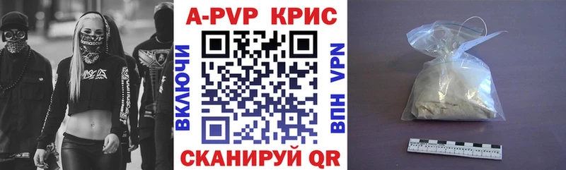 закладки  Камбарка  A PVP СК КРИС 