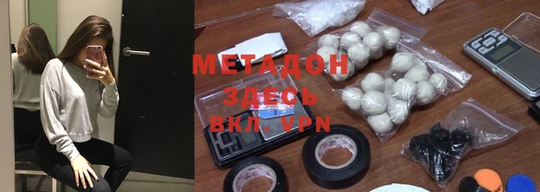шишки Арсеньев