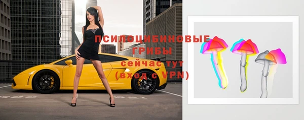шишки Арсеньев