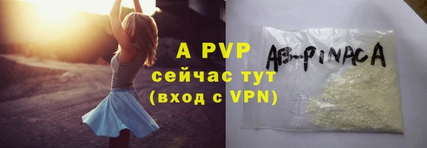 шишки Арсеньев