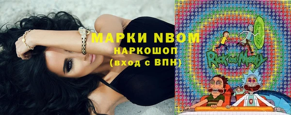 шишки Арсеньев