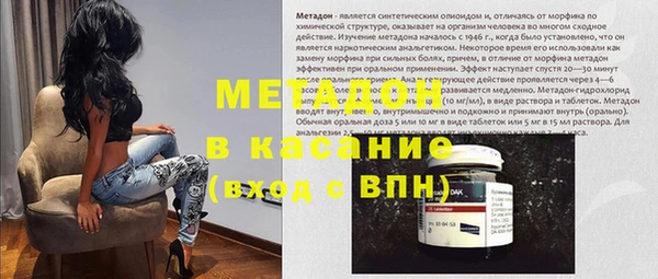 шишки Арсеньев