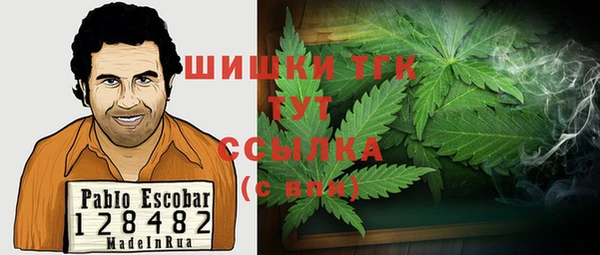 шишки Арсеньев
