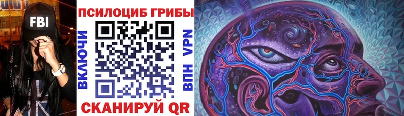 Псилоцибиновые грибы прущие грибы  купить наркотики цена  ссылка на мегу   Камбарка 
